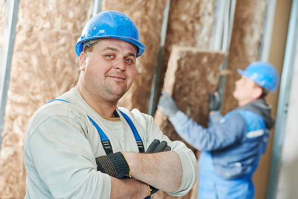 Best Insulation Maintenance and Repair in Peoria, IL
