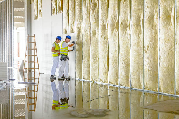 Best Insulation Maintenance and Repair in Peoria, IL
